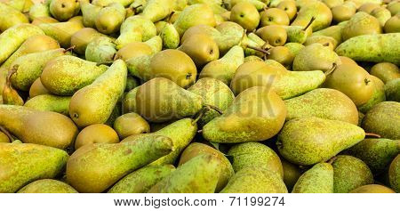 Closeup Of Just Picked Pears