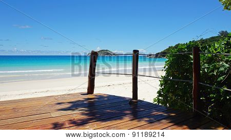 Path To Paradise