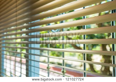 Window Blinds Open