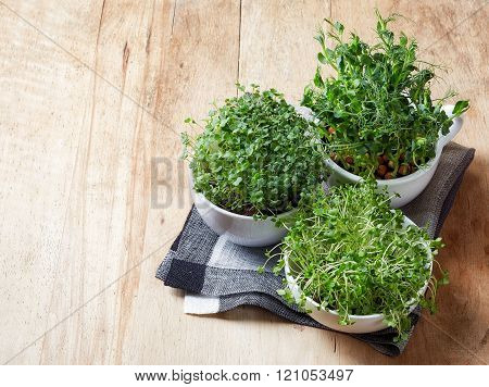 Various Sprouts