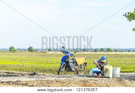 TANJUNG KARANG MALAYSIA - 31 JANUARY 2016 : Unidentified farmer preparing insecticide with traditional way on a paddy field in Tanjung Karang Malaysia. Selective focus and shallow DOF?