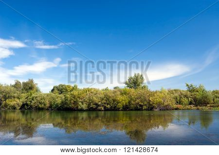 Landscape with water and forest front view