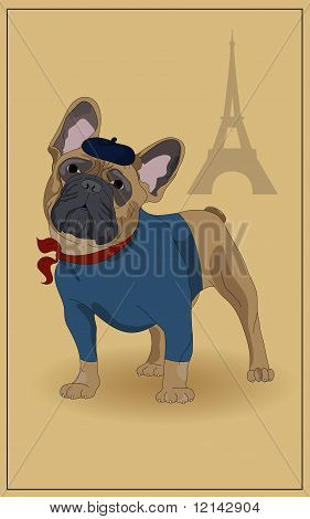 Bouledogue français