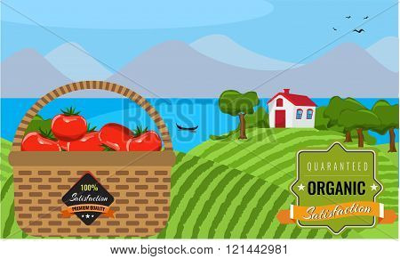 Farm flat landscape. Organic food concept. Flat design.
