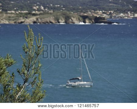 sanary sur mer at the French coast