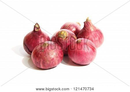 Red onion  on white background