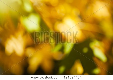 Abstract Chestnut Leaves