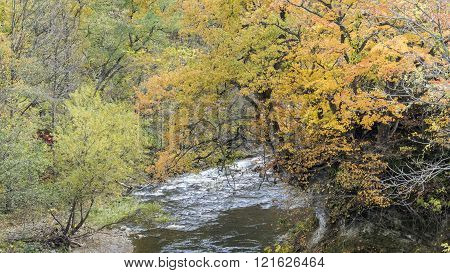 Fudo Stream And The Red Bridge At Mount Nakano-momiji
