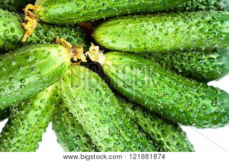 ..heap Of Fresh Cucumber Isolated Over White Background Close Up.