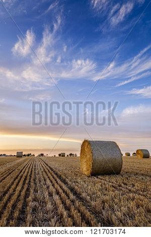 Bales At Sunset