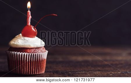 Birthday Cupcake With Candle