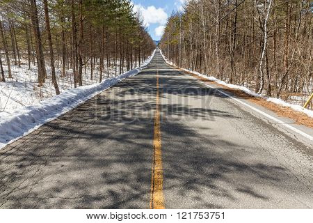 Forest raod in winter season