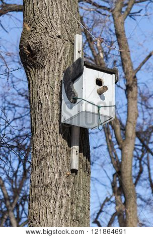 Wooden birdhouse hanging from a tree in spring day