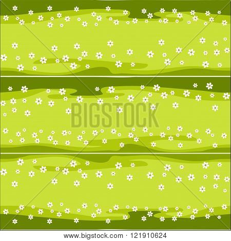 horizontal pattern lawn with daisies