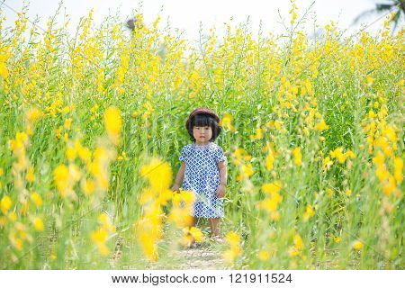 Cute Asian Girl In Yellow Sunhemp Flower Field