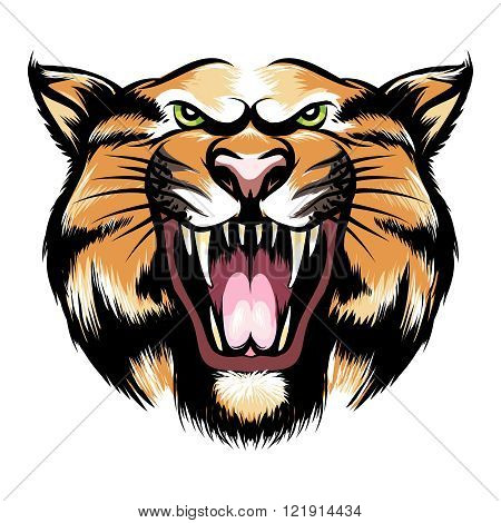 Tiger head icon. Hand drawn roaring tiger head. Vector illustration