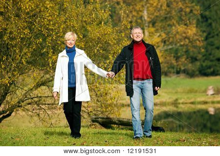 Coppia matura profondamente nell'amore avendo una passeggiata tenendo la mano di altro