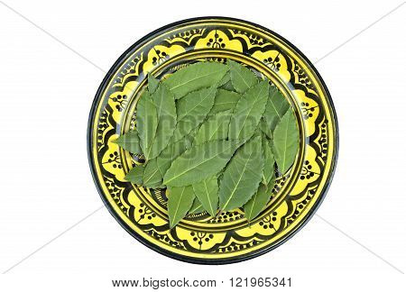 Whole freshly picked Bay or Bay Laurel leaves used in cooking to flavor dishes.