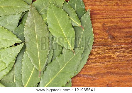 Whole freshly picked Bay or Bay Laurel leaves used in cooking to flavor dishes.