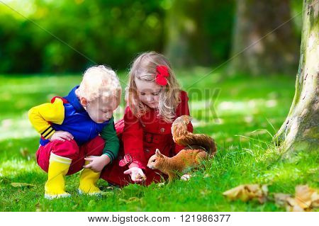 Kids feeding squirrel in autumn park. Little boy and girl in red coat and rain boots watch wild animals in fall forest with golden oak and maple leaves. Children play outdoors. Kids playing with pets