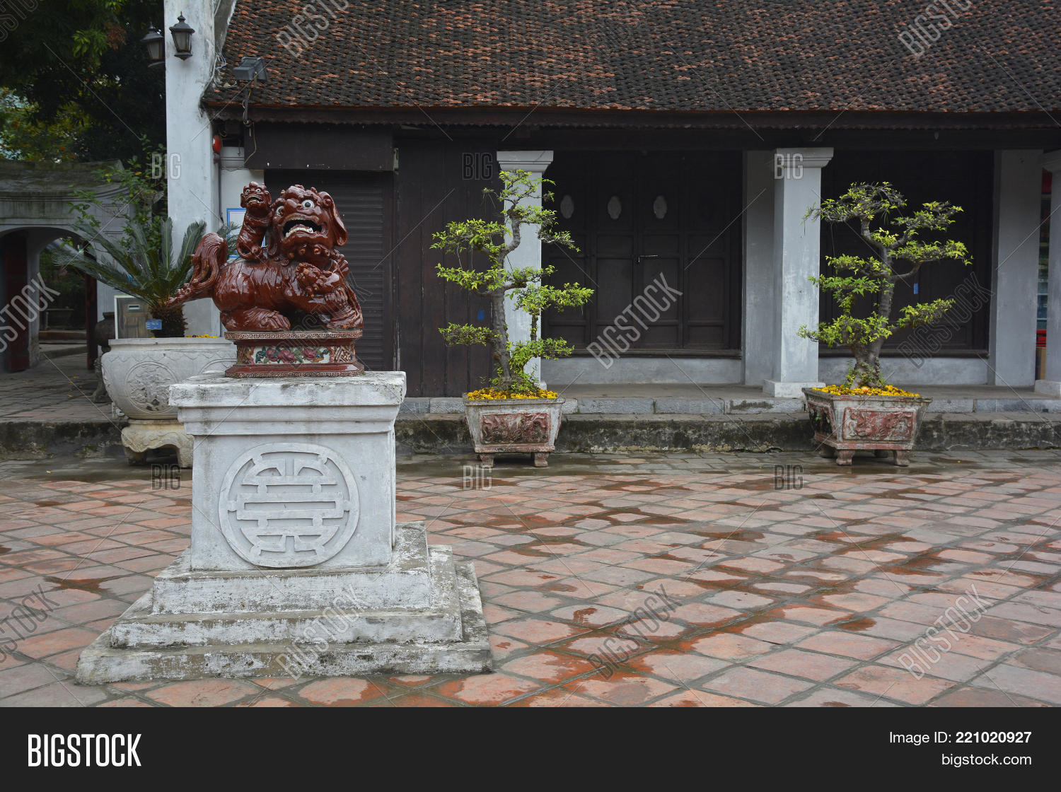 Image Preview