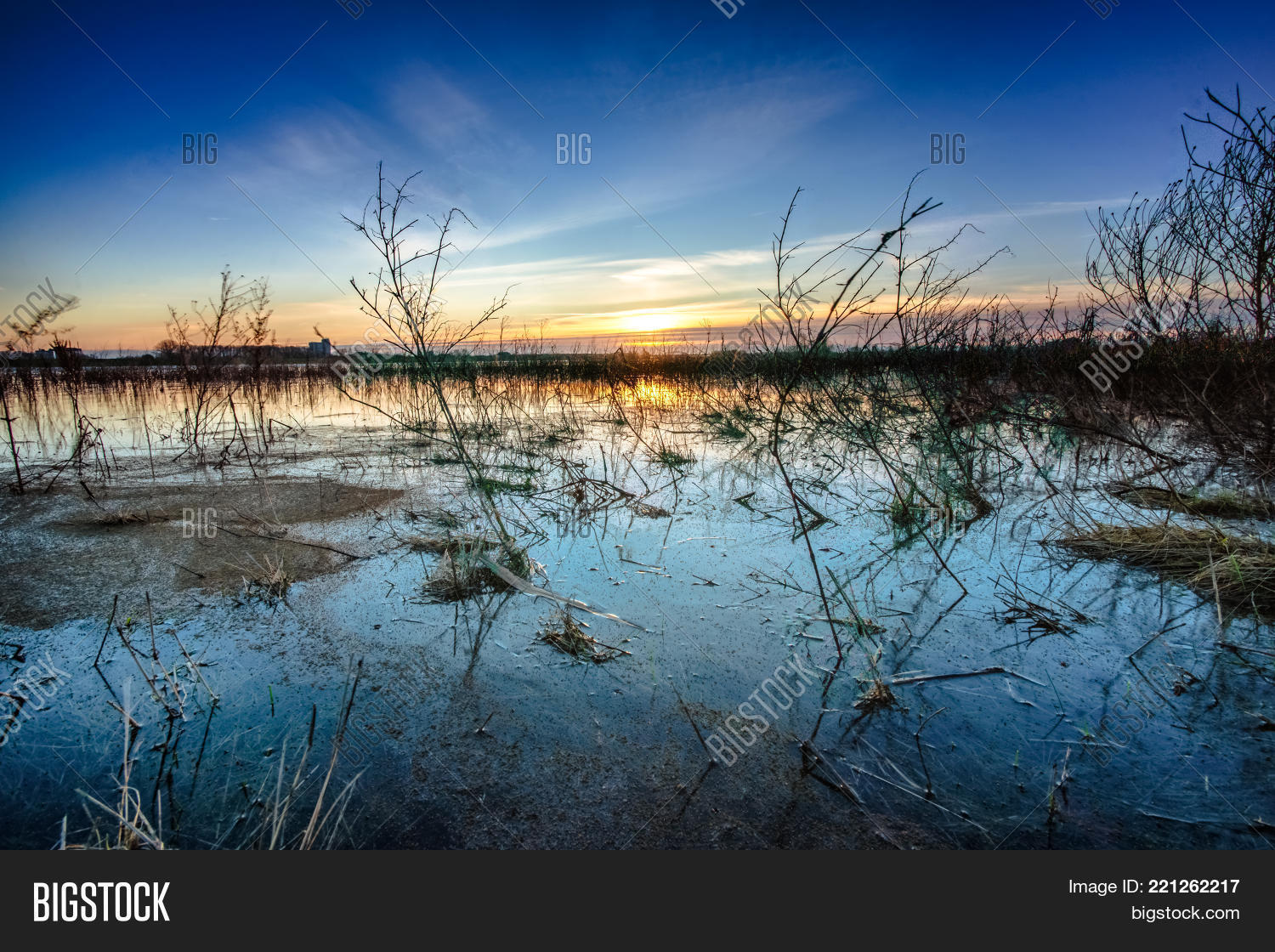 Image Preview