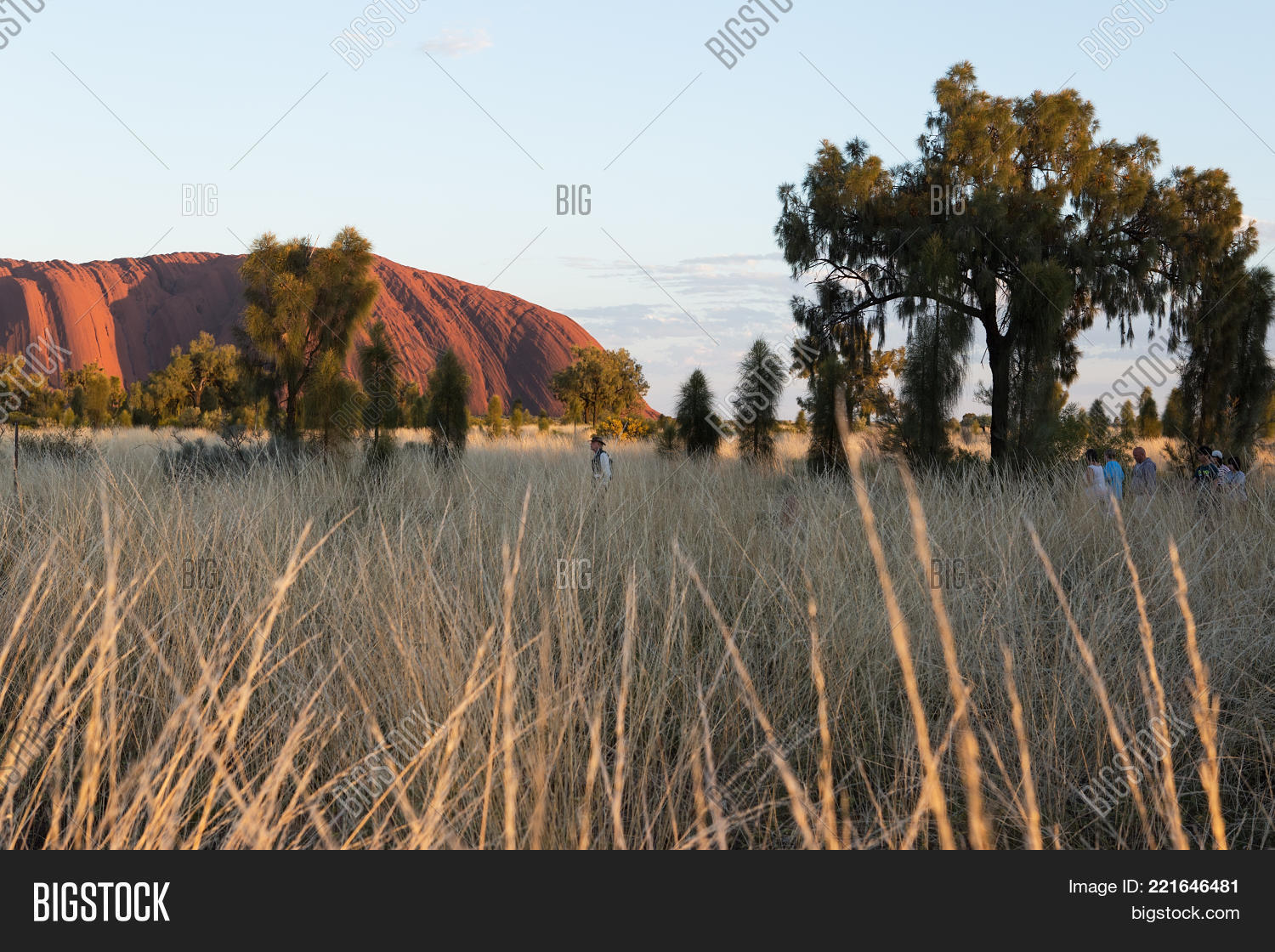 Image Preview