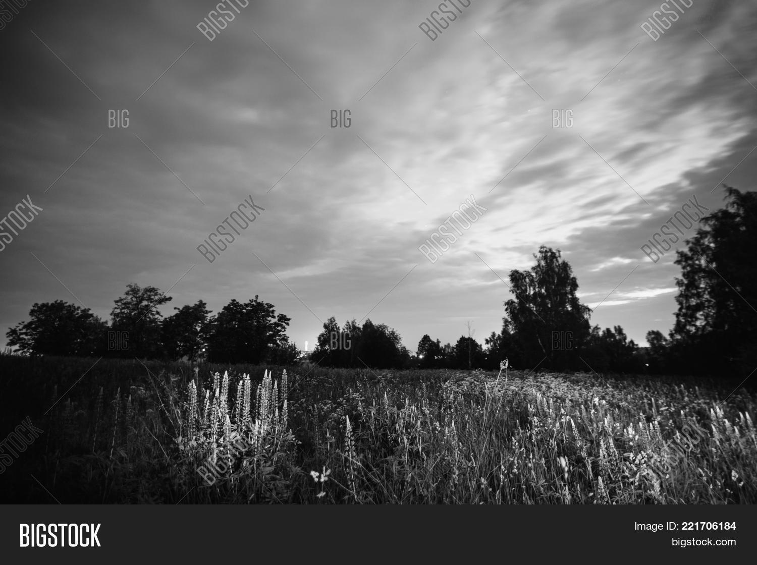 The beautiful night scenery black and white art monochrome photography