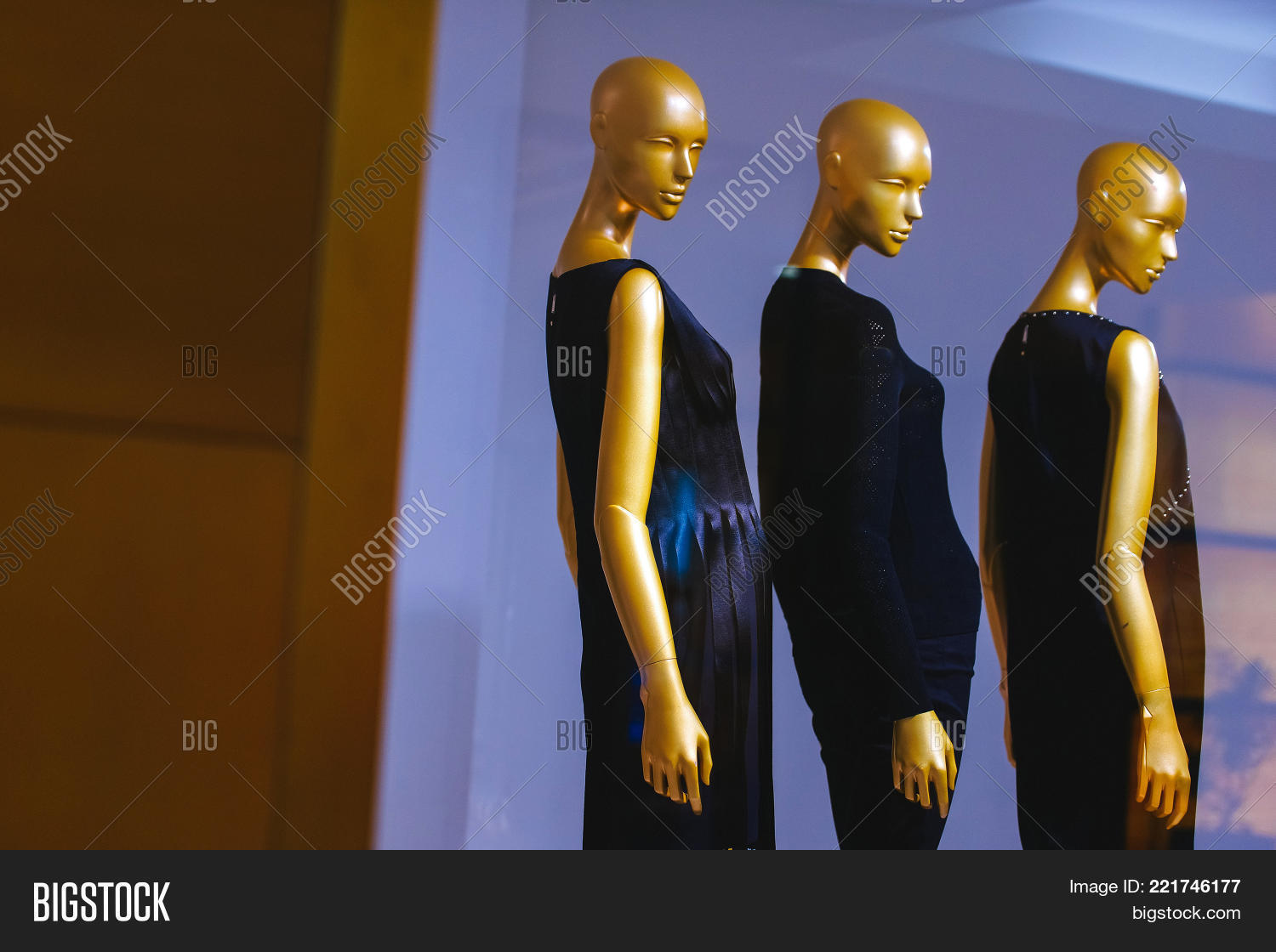 Image Preview