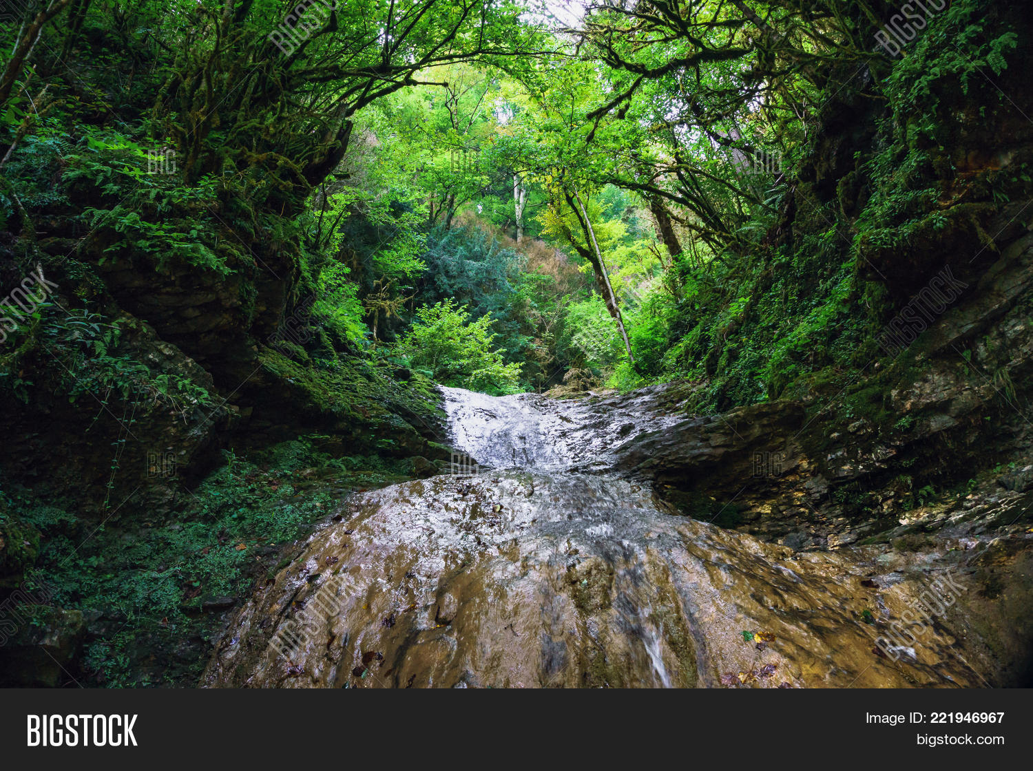 Image Preview