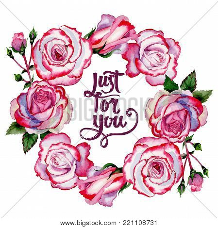 Wildflower hybrid rose flower wreath in a watercolor style. Full name of the plant: hybrid rose, hulthemia, rosa. Aquarelle wild flower for background, texture, wrapper pattern, frame or border.