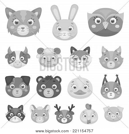 Muzzles of animals monochrome icons in set collection for design. Wild and domestic animals vector symbol stock  illustration.