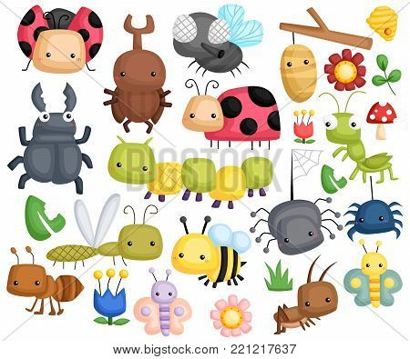 Bug Vector set with many type of content