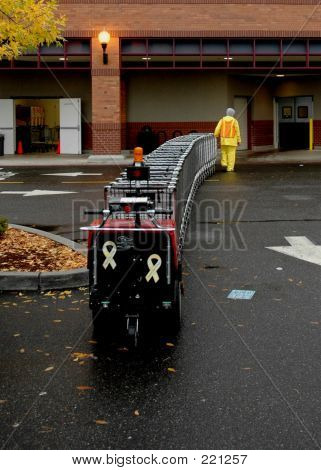 Einkaufswagen