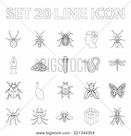 Different kinds of insects outline icons in set collection for design. Insect arthropod vector symbol stock  illustration.