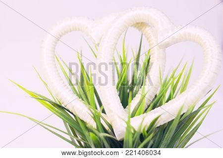 Valentine's Day, Wedding, Ecology, Save the Planet concept, white satin heart frames on a green plant , close up
