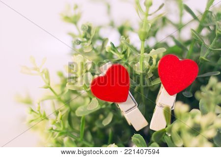 Valentine's Day, Wedding, Ecology, Save the Planet concept, wooden decorative pins with red hearts on a green plant , close up
