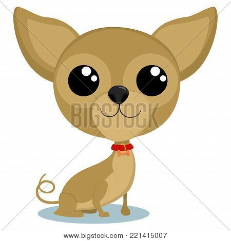 Cute chihuahua dog portrait. Vector cartoon illustration on a white background.