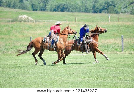 Polo at the Bar U Ranch, Longview, Alberta, July 24, 2011