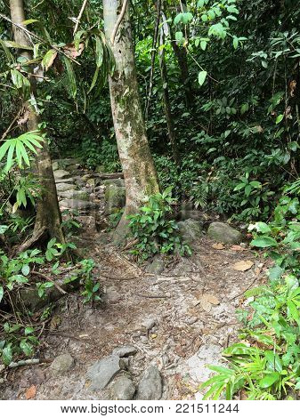 Nature Walkway In Khao Chamao , Rayong , Thailand