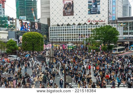Tokyo, Japan - April 22, 2017: aerial view of unidentified pedestrians in Shibuya Crossing, one of the busiest crosswalks in the world. Shibuya is one of Tokyo's most famous neighborhoods.