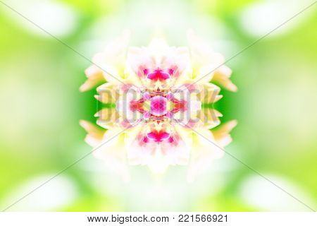 abstract background image with symmetrical multicolored patterns