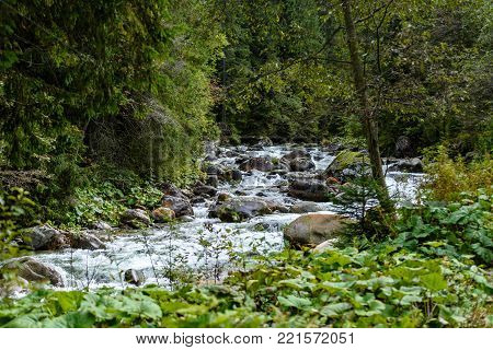 Mountain River In Summer. Bialka River, Poland