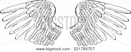 Symbol of Freedom - Wings of Freedom Icon Concept -  Vector Illustration
