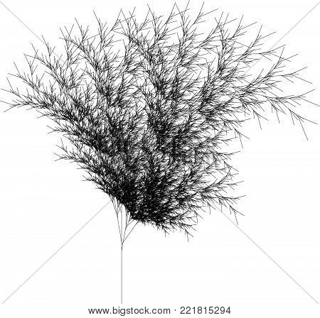 Flat Vector Computer Generated  L-system Fractal Plant - Generative Art