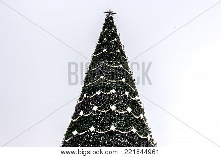 Christmas big tree on Baku Boulevard. Azerbaijan. Beautiful sick New Year tree.