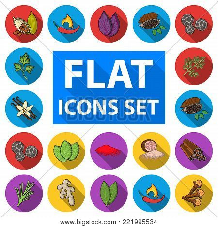 Herb and spices flat icons in set collection for design.Different kinds of seasonings vector symbol stock  illustration.