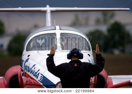 Kanadyjskie siły zbrojne Snowbirds