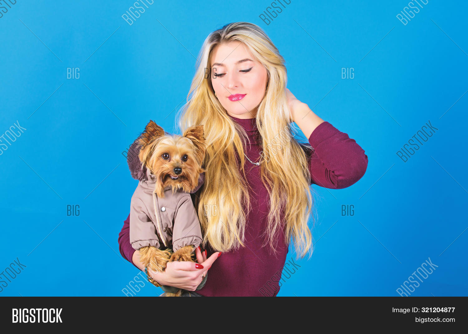 coat dressing for dogs