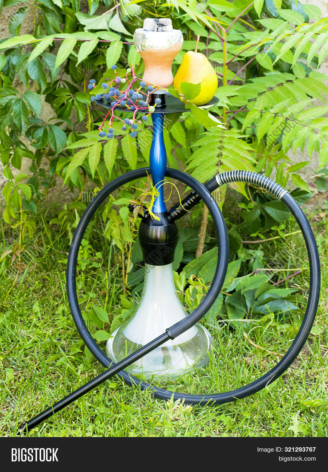 Hookah Fruits On Image & Photo (Free Trial) Bigstock